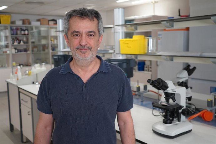 Eduardo Nagore investigador principal del Grupo Mixto de Investigación de Melanoma de la Universidad Católica de Valencia (UCV) y del Instituto Valenciano de Oncología (IVO)