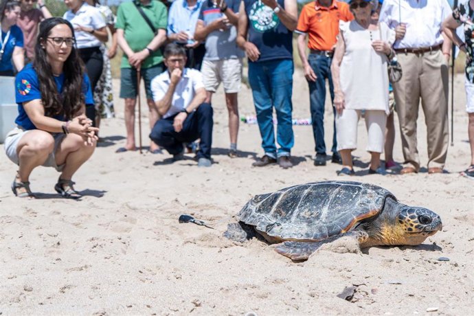 Más de 80 municipios costeros se unen este verano para salvar tortugas marinas