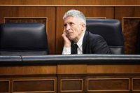 Marlaska niega que la directora de la Guardia Civil se reuniera con Leire Díez y se desvincula de audios de Koldo