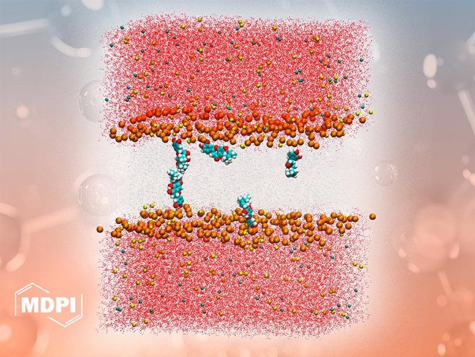 Un estudio de la UMH revela cómo el ninfeol A, un compuesto del propóleo con propiedades saludables, actúa en las membranas celulares