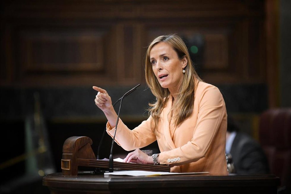 La diputada del PP, Carmen Navarro