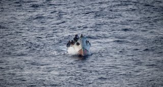 Migración