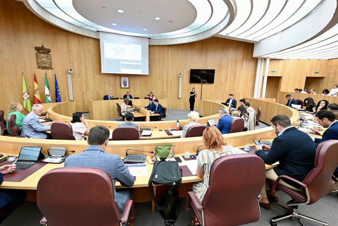 Pleno de la Diputación de Granada, en imagen de archivo