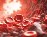 Foto: Las técnicas diagnósticas se han vuelto "tan complejas" que la residencia de Hematología "se queda corta"