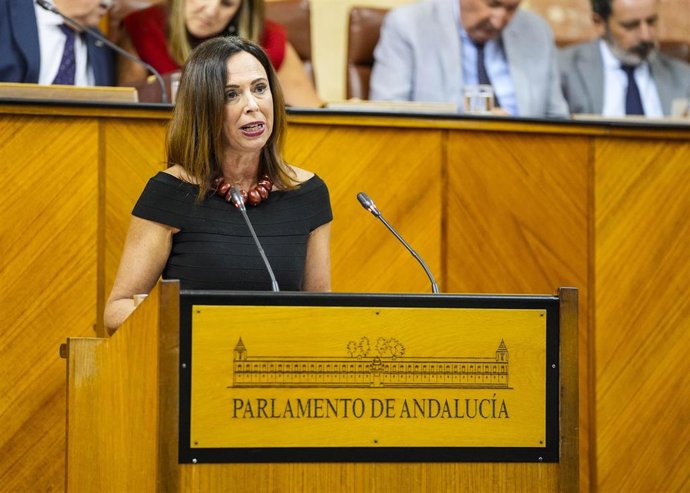 La consejera de Fomento, Articulación del Territorio y Vivienda, Rocío Díaz, en el Pleno del Parlamento andaluz.