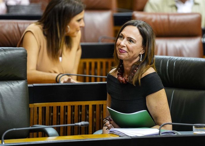 La consejera de Fomento, Articulación del Territorio y Vivienda, Rocío Díaz, en el Pleno del Parlamento andaluz.