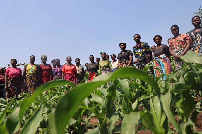 Archivo - Arquivo - Mulheres participantes de uma escola agrícola da Oxfam em Malaui