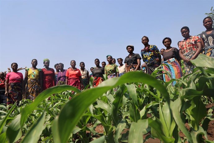 Archivo - Mujeres participantes en una escuela agraria de Oxfam en Malaui