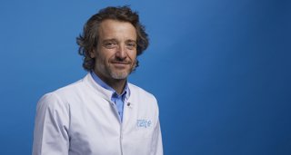 Investigación