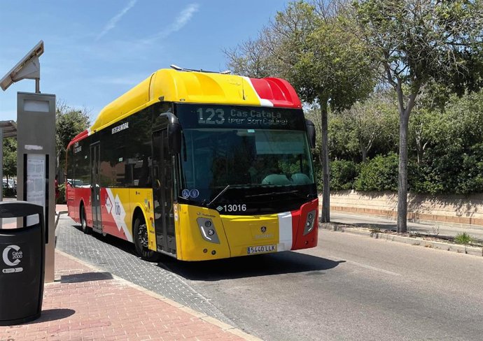 Archivo - Autocar del TIB