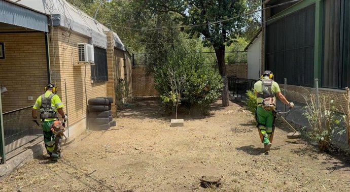 Plan de desbroce en colegios de Sevilla.