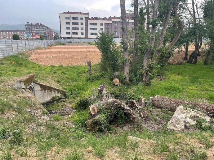 Zona de tala de árboles