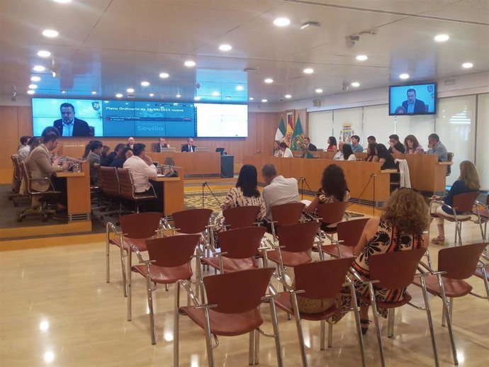 Pleno ordinario de la Diputación de Sevilla, celebrado este jueves 26 de junio.