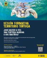 El Gobierno regional impulsa la formación de voluntarios para proteger a la tortuga boba en las costas de la Comunidad