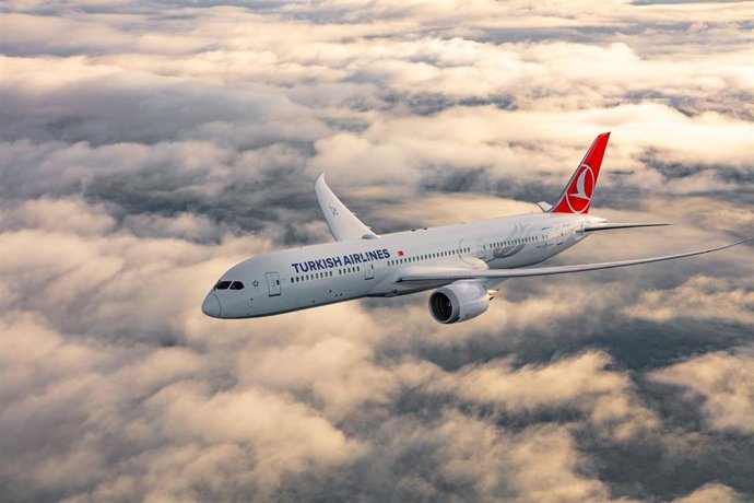 Avión de Turkish Airlines.