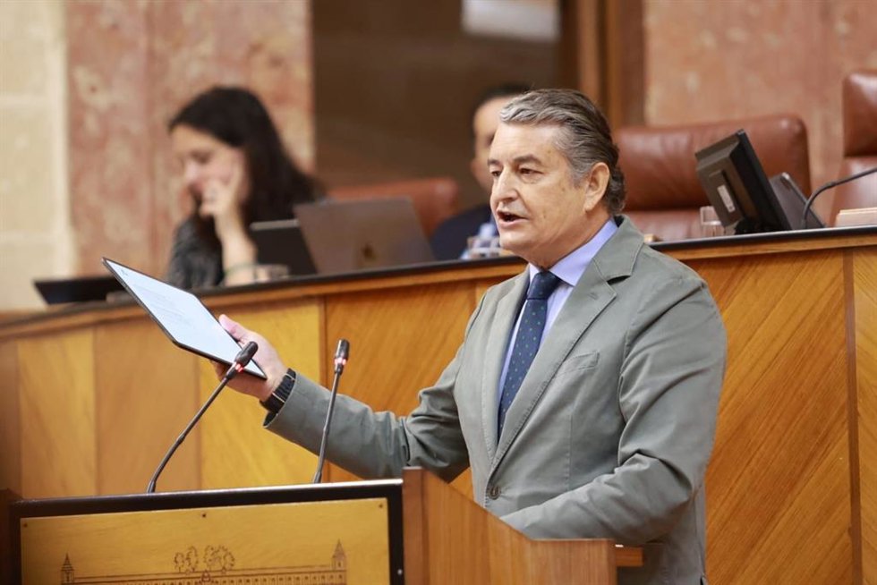 El consejero de la Presidencia, Interior, Diálogo Social y Simplificación Administrativa, Antonio Sanz, interviene en el Pleno del Parlamento andaluz.