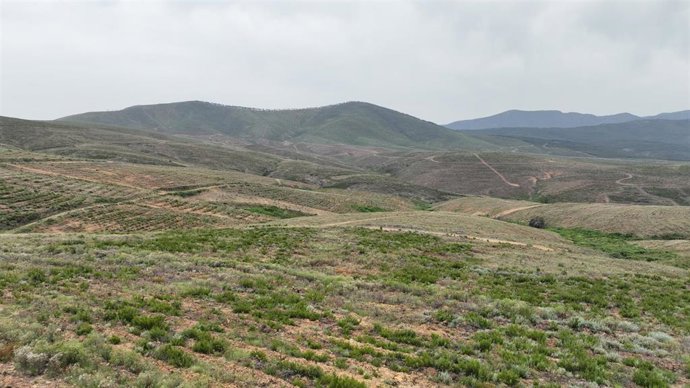 Proyecto de restauración ecológica en Serradilla del Llano (Salamanca)