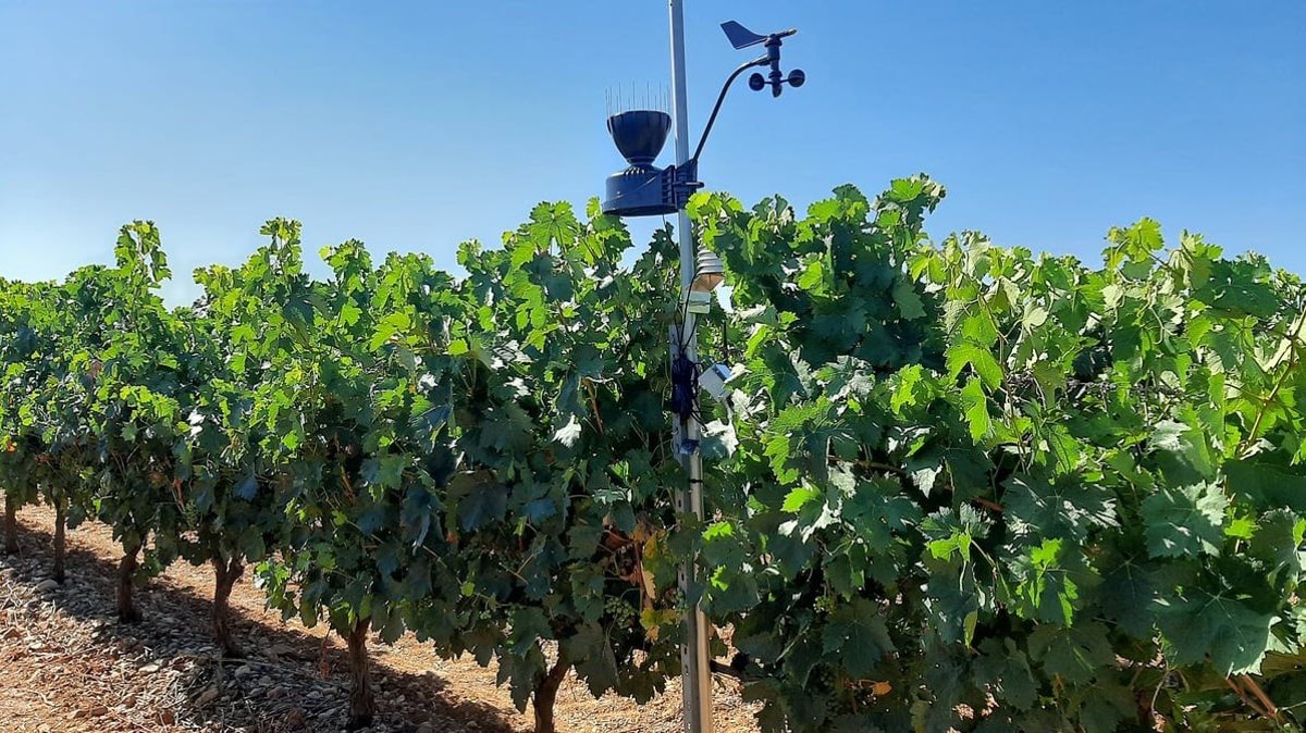 Datadoc, el proyecto pionero de Rioja para monitorizar el cambio climático, brinda primeras conclusiones estratégicas