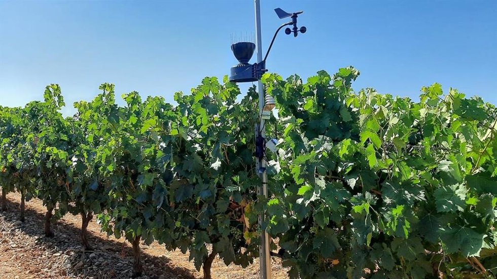 Datadoc, proyecto pionero de Rioja para monitorizar el cambio climático