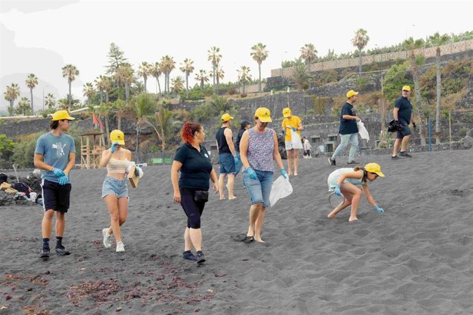 Loro Parque Fundación emprende una limpieza terrestre en la playa de Punta Brava (Tenerife) tras su reapertura