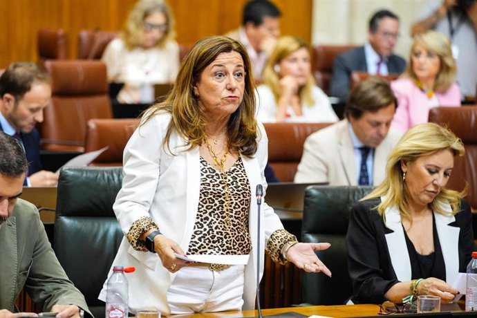La consejera de Desarrollo Educactivo y Formación Profesional, María del Carmen Castillo, en el Pleno del Parlamento andaluz.