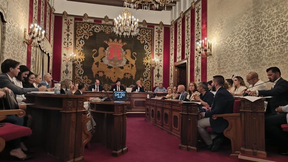Pleno Ordinario del Ayuntamiento de Alicante