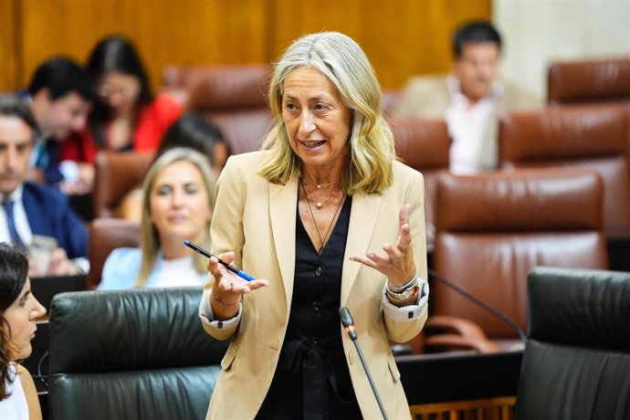 La consejera de Salud y Consumo, Rocío Hernández, en pleno del Parlamento a fecha de 26 de junio de 2025.