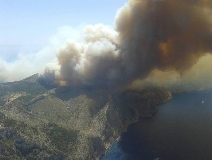 Archivo - Un incendio forestal en Andratx. 