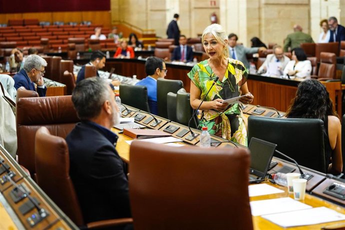 La consejera de Cultura y Deporte, Patricia del Pozo, respondiendo en el Pleno del Parlamento andaluz a un pregunta formulada por el socialista Rafael Recio. A fecha de 26 de junio de 2025.