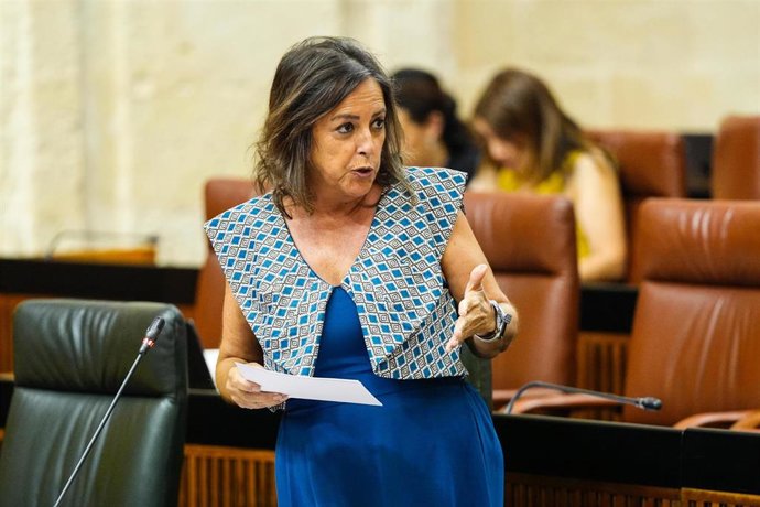 La consejera de Sostenibilidad y Medio Ambiente, Catalina García, en Pleno del Parlamento a fecha de 26 de junio de 2025.