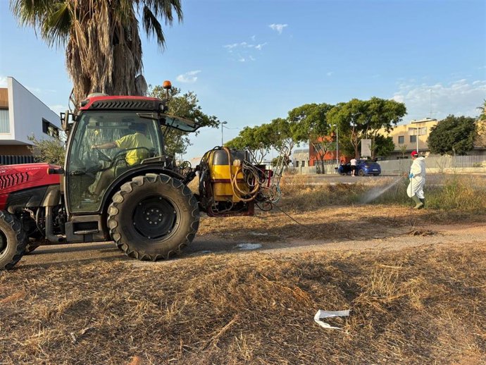El Ayuntamiento de Albal pone en marcha un plan extraordinario de fumigación urgente ante la proliferación de chinches