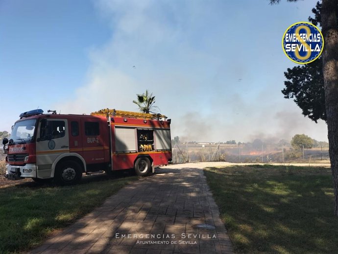 Bomberos actúan en un incendio de pastos junto al parque acuático de Sevilla Este.