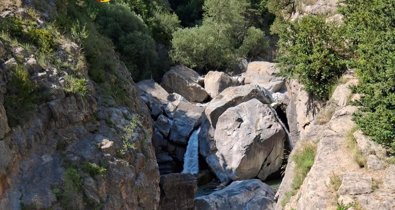 Aragón