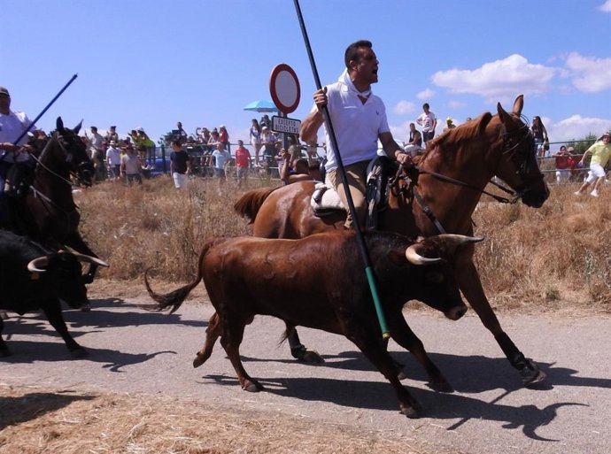 Un momento de La Saca de este año.