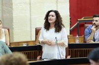 El Parlamento rechaza con los votos de PP-A y Vox una PNL de Por Andalucía sobre medidas ante la corrupción