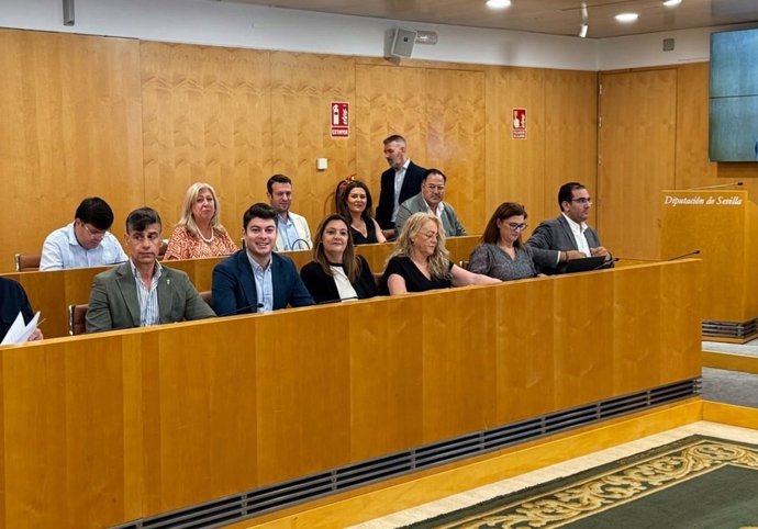 Pleno de la Diputación de junio.