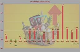 Gráfica de los datos del INE sobre la inflacción.