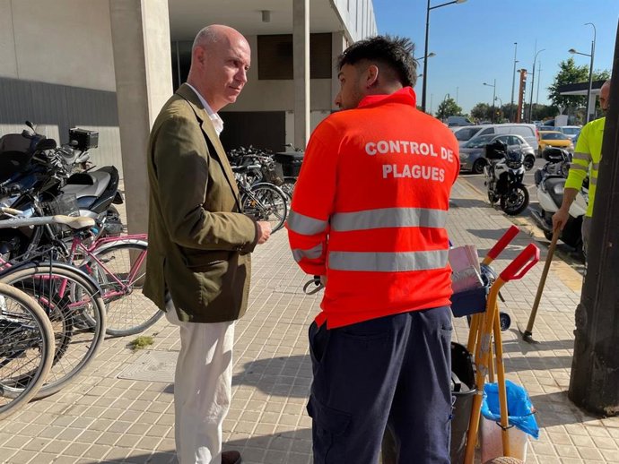 Los servicios municipales trabajan en coordinación para minimizar las molestias de los insectos