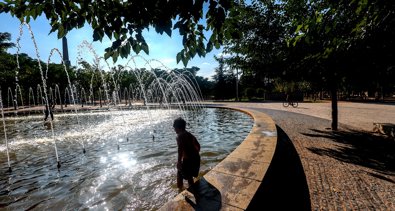 Cooperación y Desarrollo