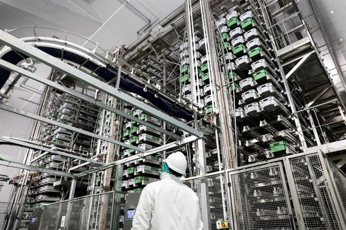 Archivo - Fábrica de Familia Martínez