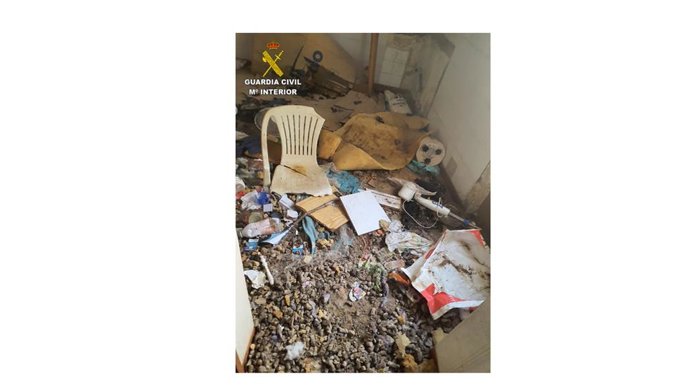 SEPRONA rescata un perro abandonado en una casa deshabitada e investiga a una persona por un delito de maltrato animal.