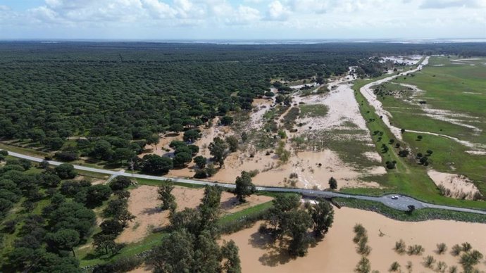 Imagen del arroyo de El Partido, en Doñana, el pasado mes de abril.
