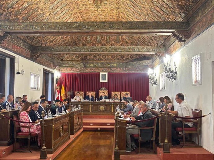 Pleno Diputación junio 2025