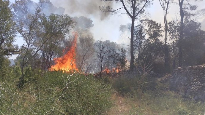 Incendio forestal en la zona de cala Macarella.