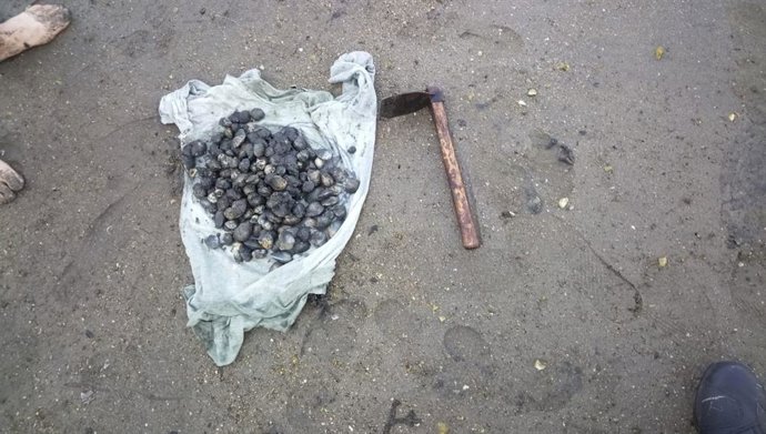 Almejas incautadas a trs furtivos sorprendidos en la playa de Ríos, en Teis (Vigo) el 21 de junio de 2025.