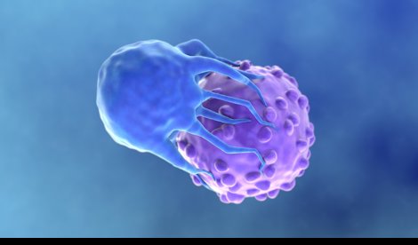 Investigación