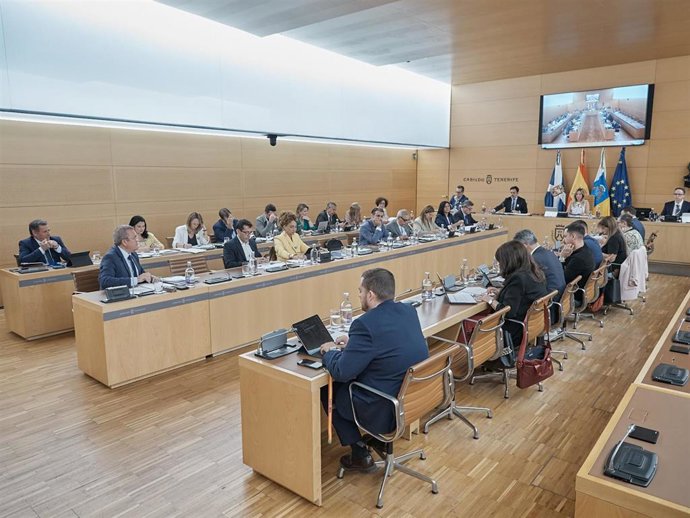 Pleno del Cabildo de Tenerife