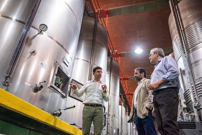 Archivo - Visita de los consejeros del Cabildo de Tenerife Manuel Fernández y Valentín González a Bodegas Insulares