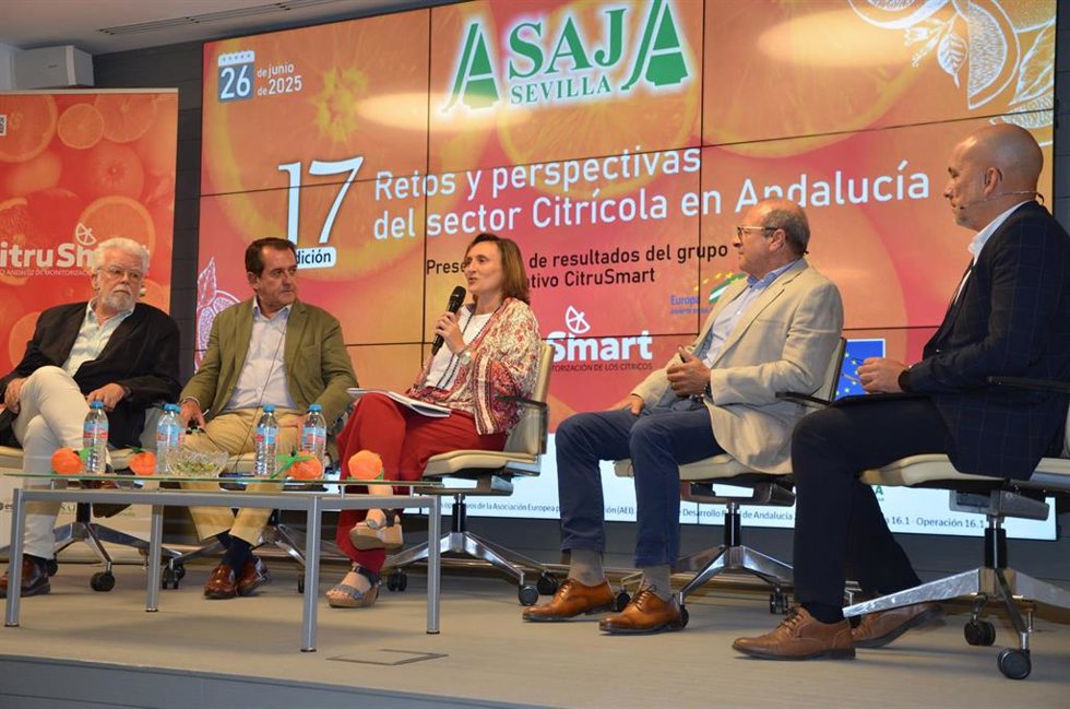 Mesa redonda en el marco de una jornada sobre cítricos.