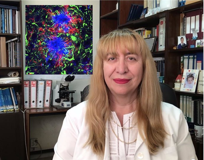 La catedrática de Biología Celular de UMA Antonia Gutiérrez, nueva presidenta de la Sociedad Española de Neurociencia.